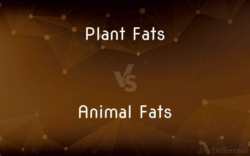 Plant Fats vs. Animal Fats — What's the Difference?