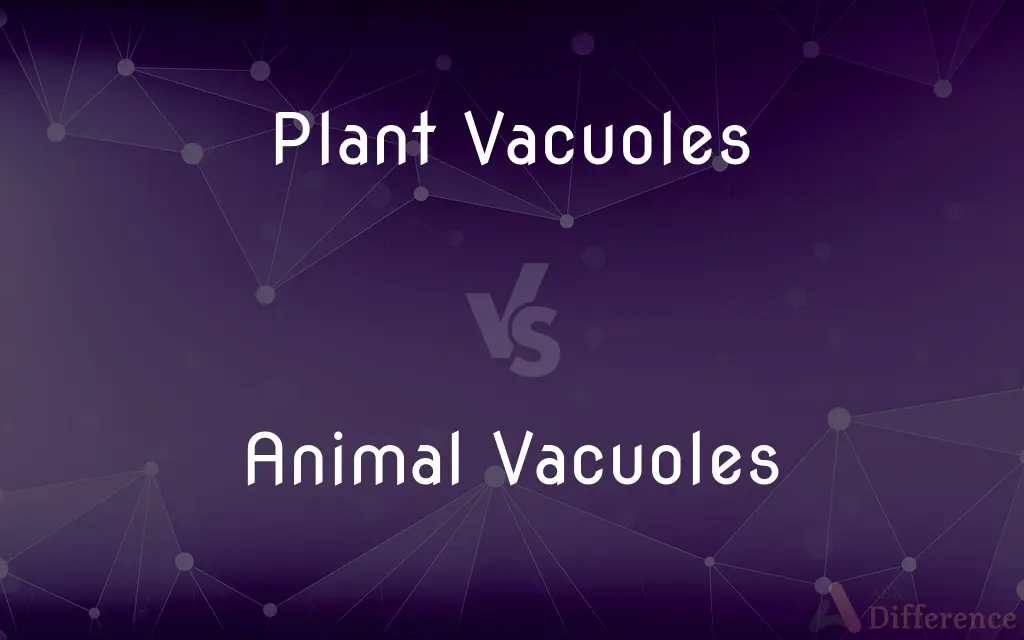 Plant Vacuoles vs. Animal Vacuoles — What's the Difference?