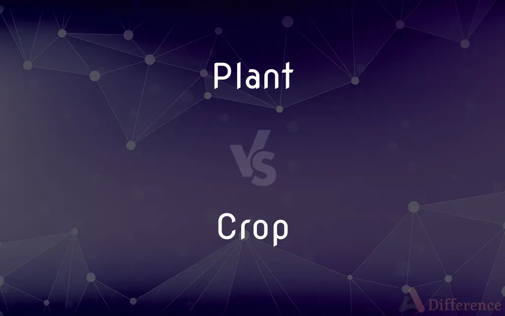 Plant vs. Crop — What's the Difference?
