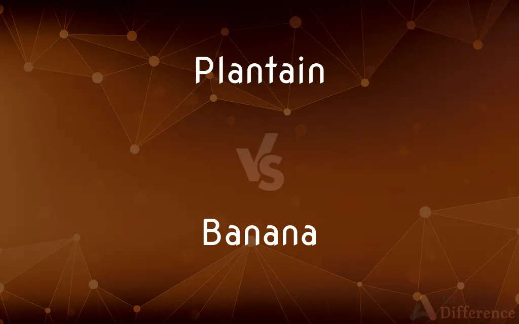 Plantain vs. Banana — What's the Difference?