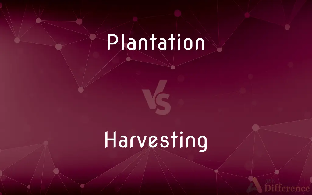 Plantation vs. Harvesting — What's the Difference?