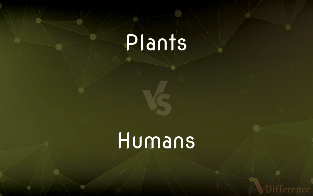 Plants vs. Humans — What's the Difference?