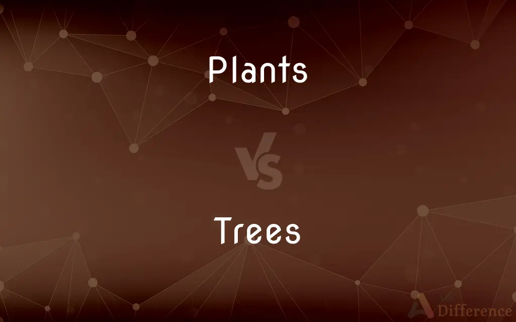 Plants vs. Trees — What's the Difference?