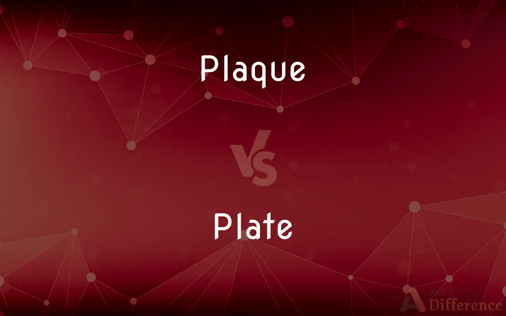 Plaque vs. Plate — What's the Difference?