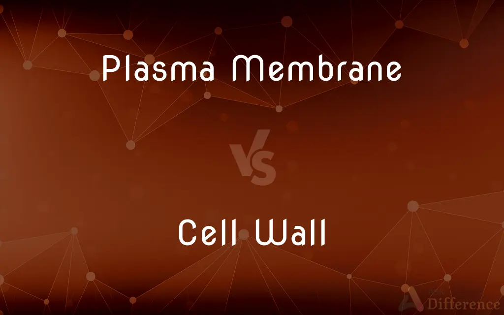 Plasma Membrane vs. Cell Wall — What's the Difference?