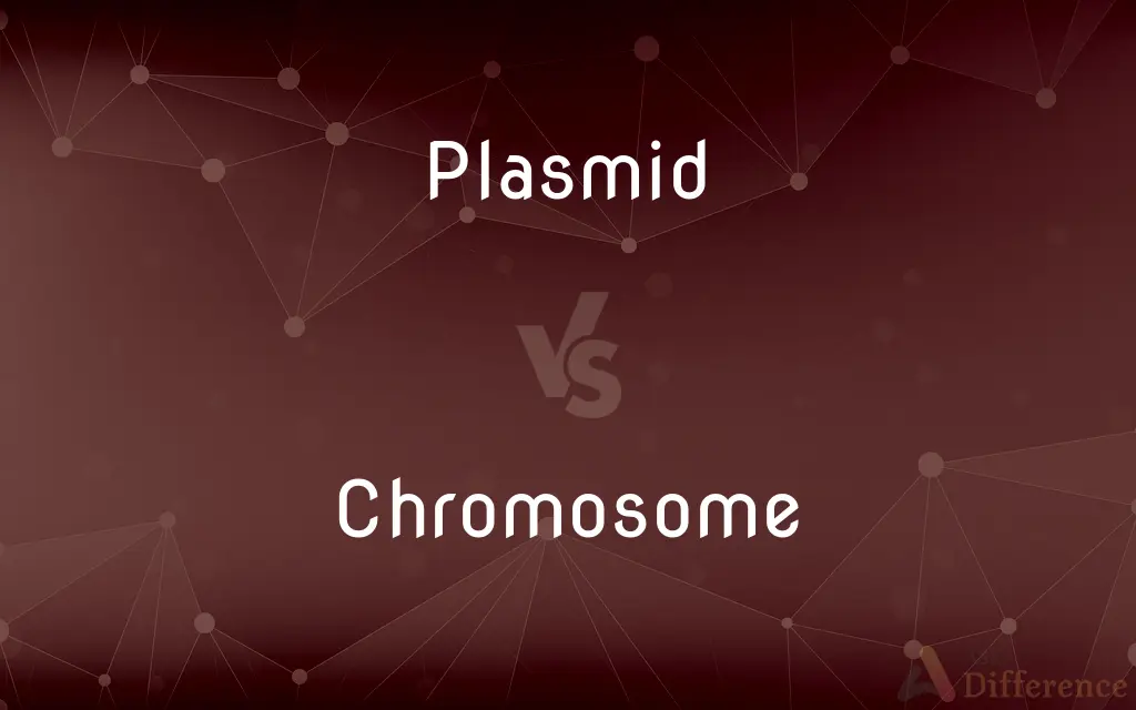 Plasmid vs. Chromosome — What's the Difference?