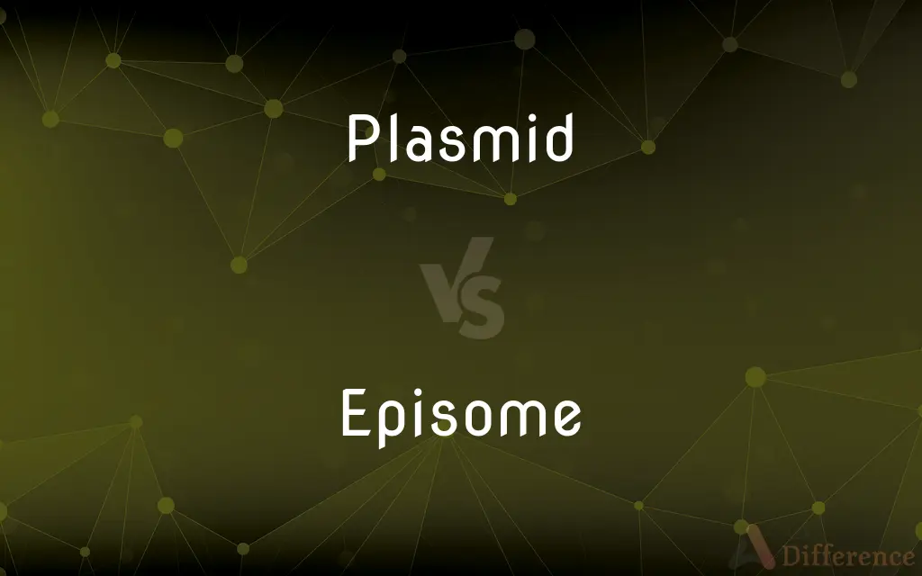 Plasmid vs. Episome — What's the Difference?