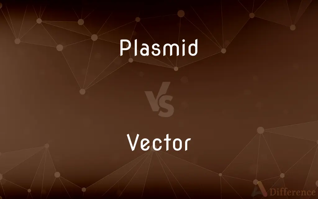 Plasmid vs. Vector — What's the Difference?