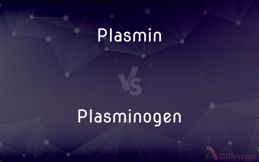 Plasmin vs. Plasminogen — What's the Difference?
