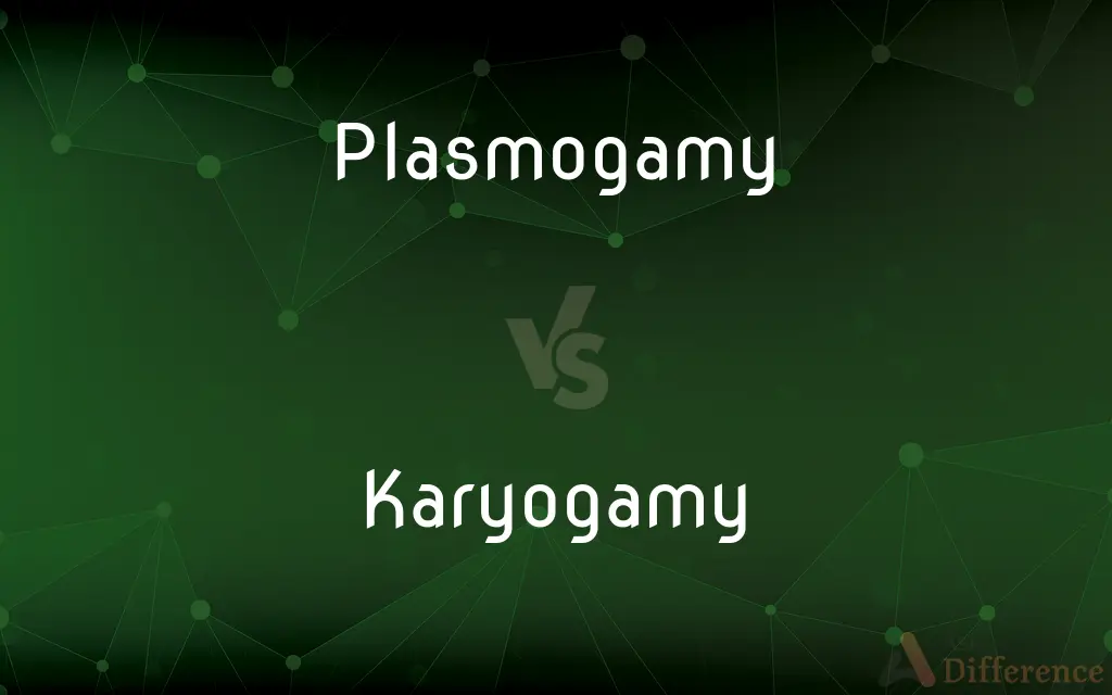 Plasmogamy vs. Karyogamy — What's the Difference?