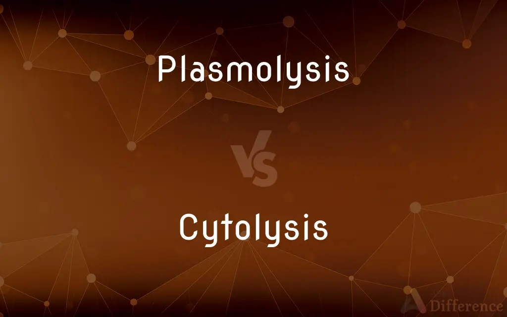 Plasmolysis vs. Cytolysis — What's the Difference?