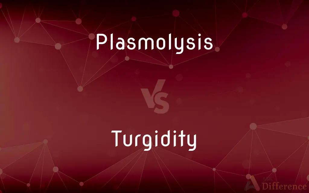 Plasmolysis vs. Turgidity — What's the Difference?