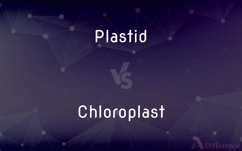 Plastid vs. Chloroplast