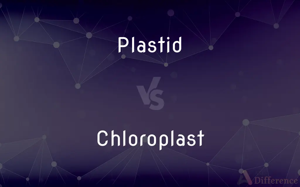 Plastid vs. Chloroplast — What's the Difference?