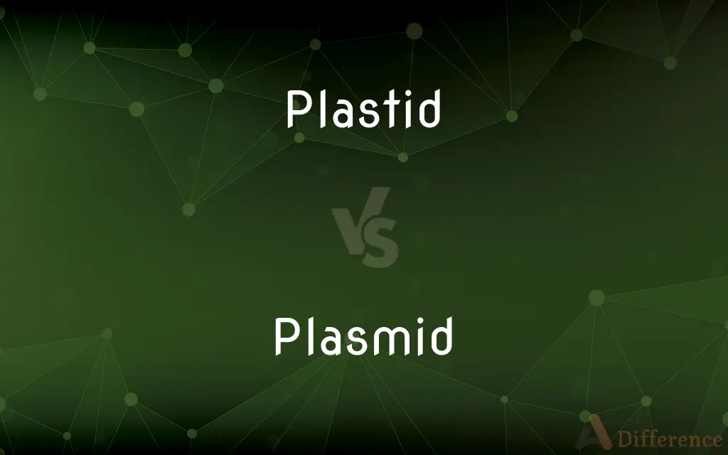 Plastid vs. Plasmid — What's the Difference?