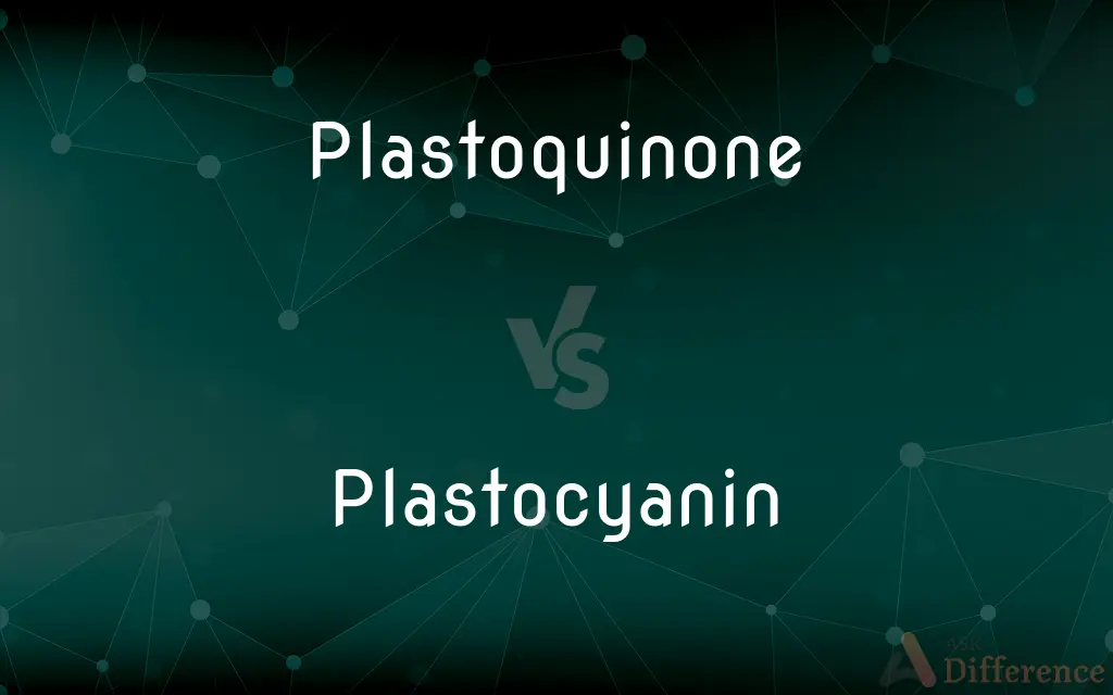 Plastoquinone vs. Plastocyanin — What's the Difference?