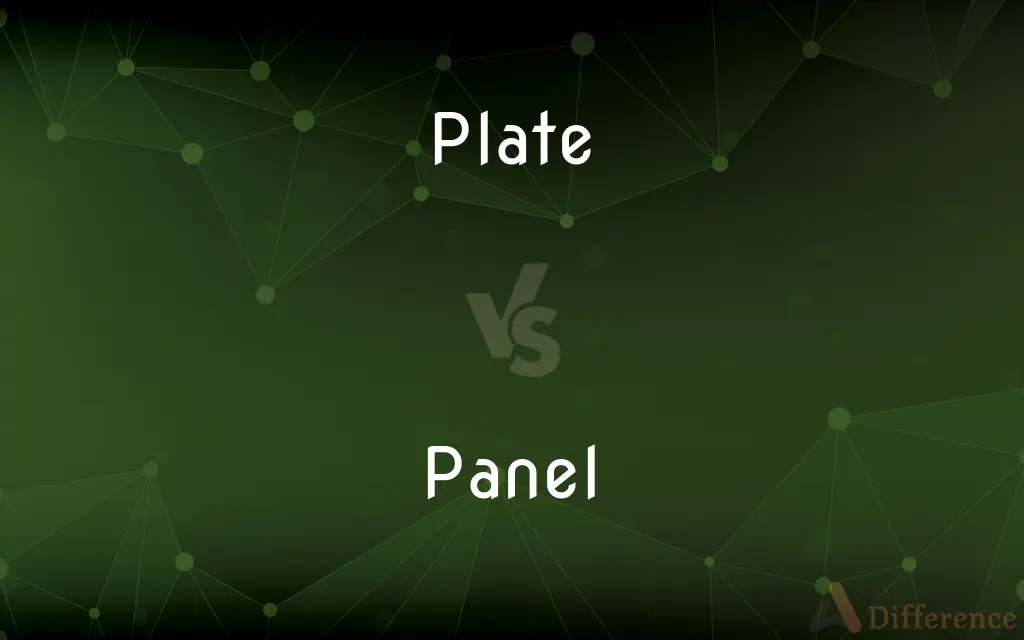 Plate vs. Panel — What's the Difference?