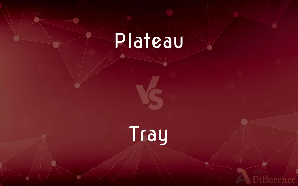 Plateau vs. Tray — What's the Difference?