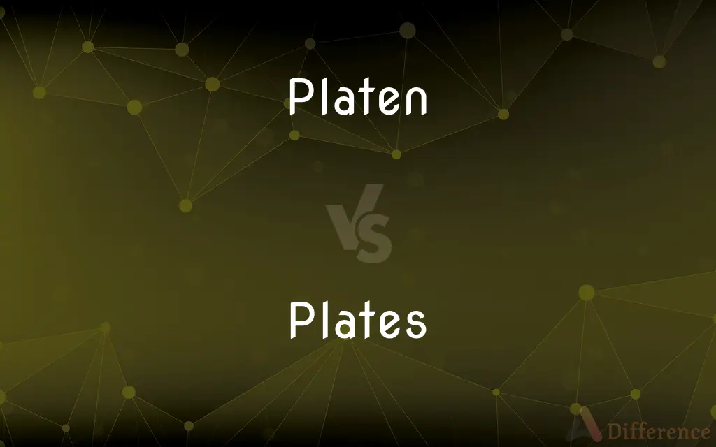 Platen vs. Plates — What's the Difference?