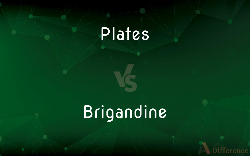Plates vs. Brigandine — What's the Difference?