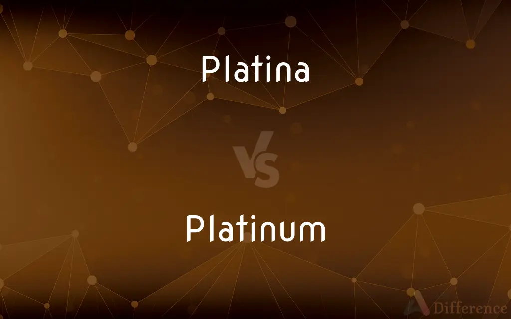 Platina vs. Platinum — What's the Difference?