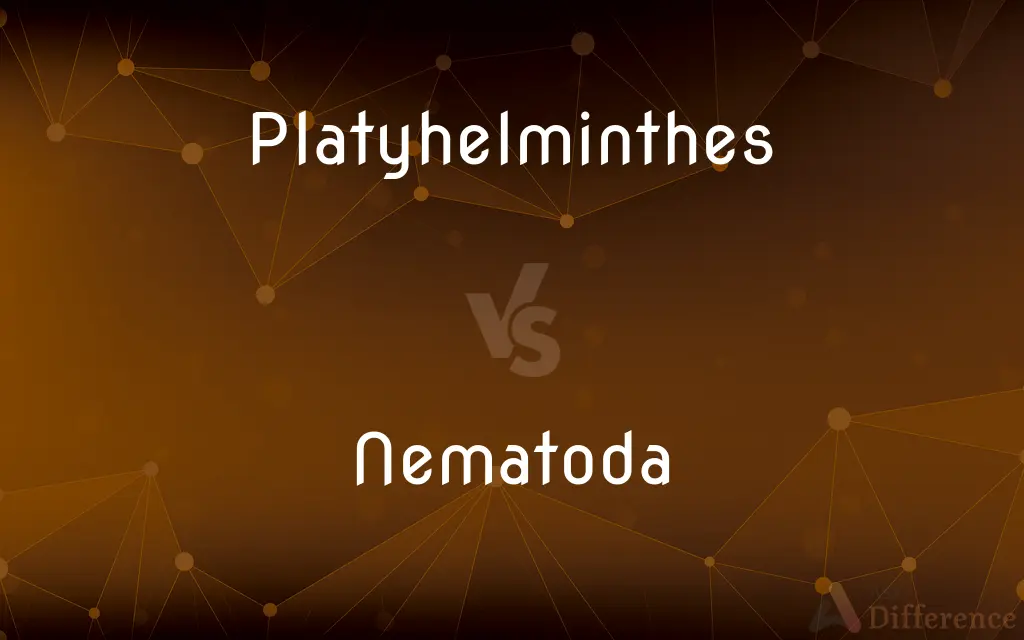 Platyhelminthes vs. Nematoda — What's the Difference?