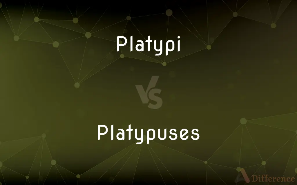 Platypi vs. Platypuses — What's the Difference?
