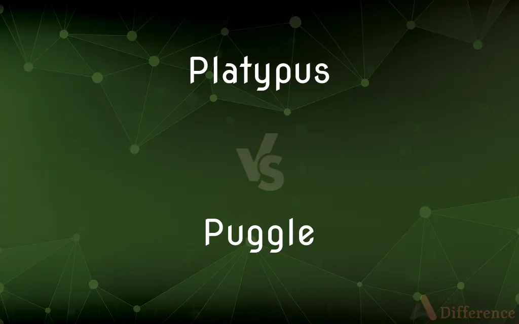 Platypus vs. Puggle — What's the Difference?