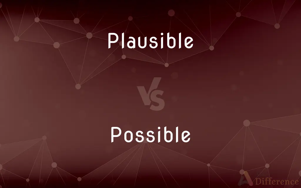 Plausible vs. Possible — What's the Difference?