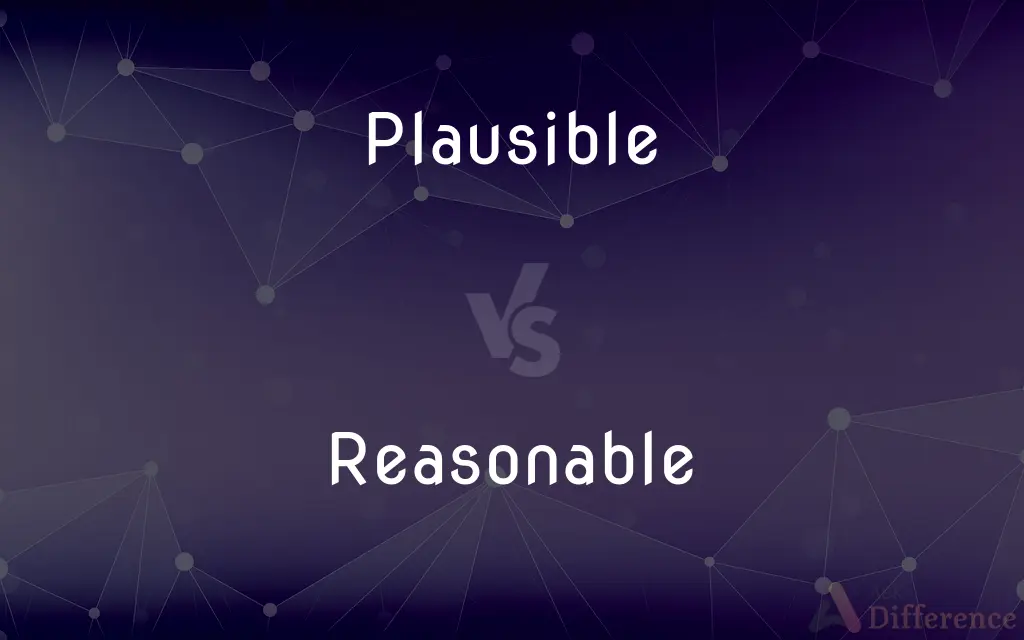 Plausible vs. Reasonable — What's the Difference?