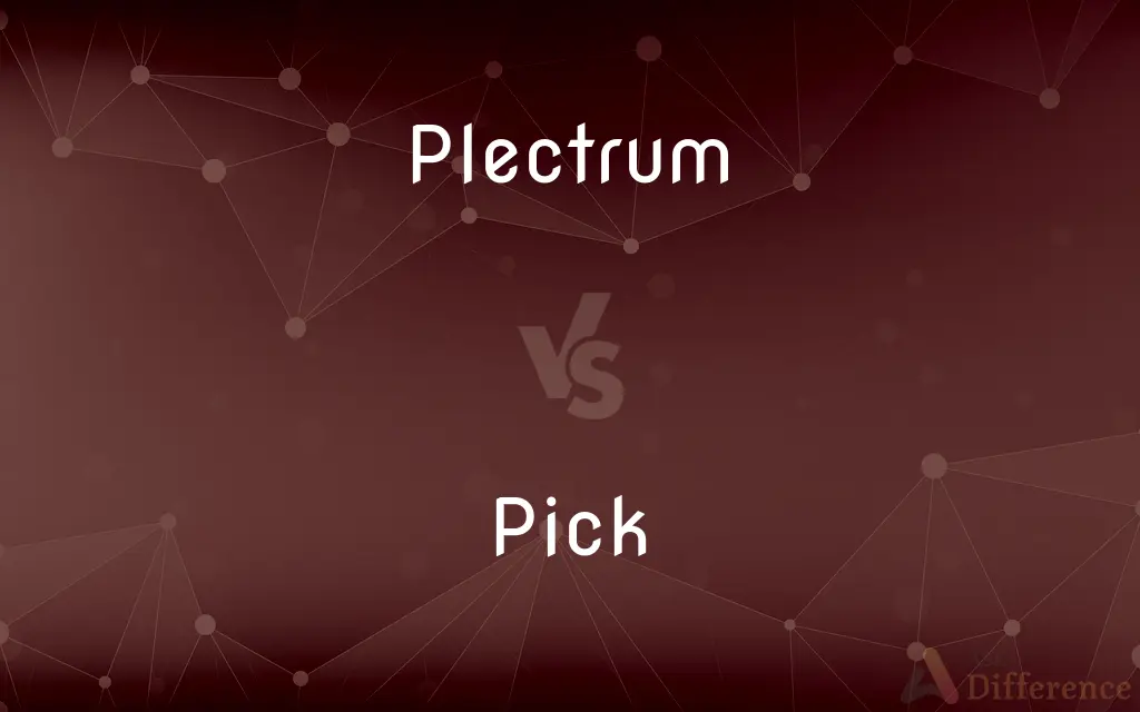 Plectrum vs. Pick — What's the Difference?