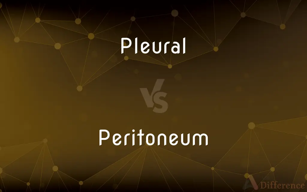 Pleural vs. Peritoneum — What's the Difference?