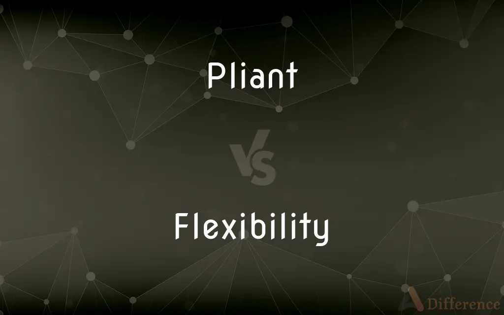 Pliant vs. Flexibility — What's the Difference?