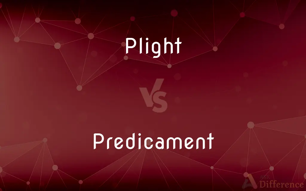 Plight vs. Predicament — What's the Difference?