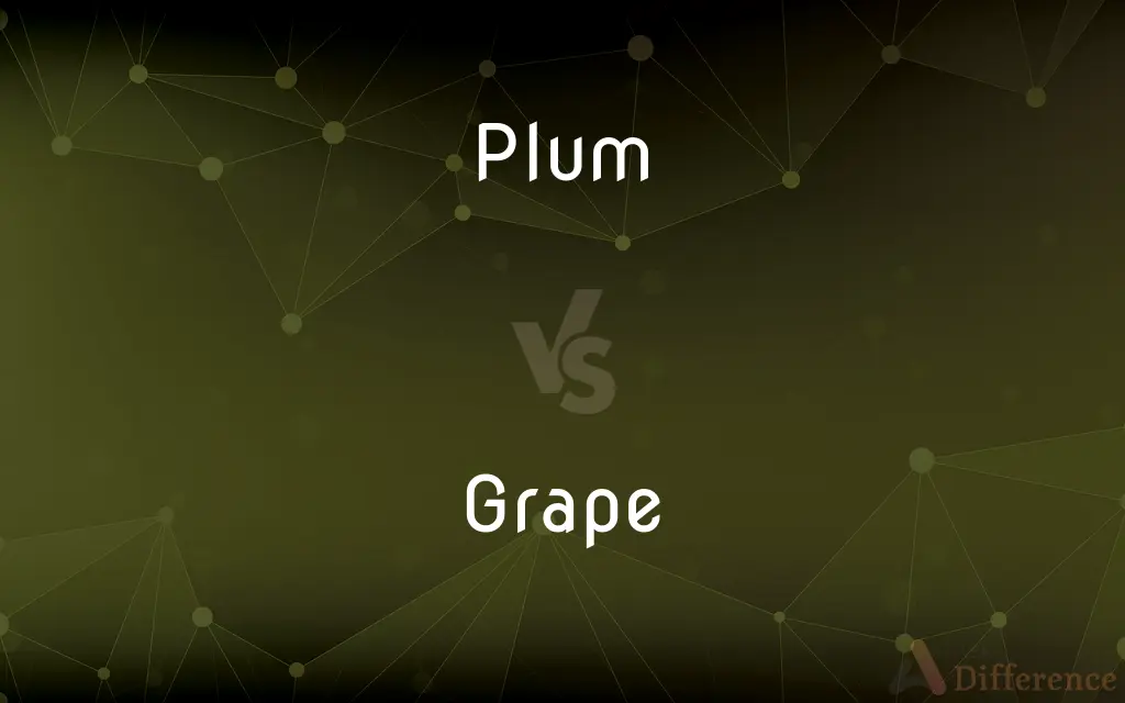 Plum vs. Grape — What's the Difference?