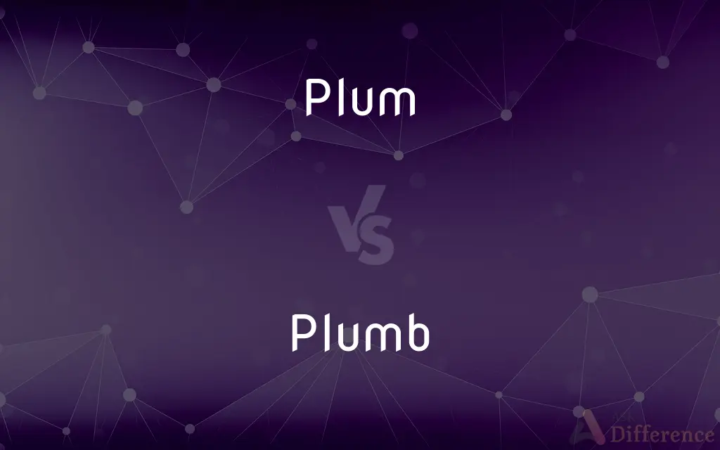 Plum vs. Plumb — What's the Difference?