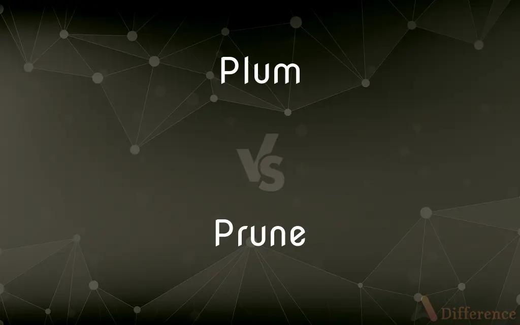 Plum vs. Prune — What's the Difference?