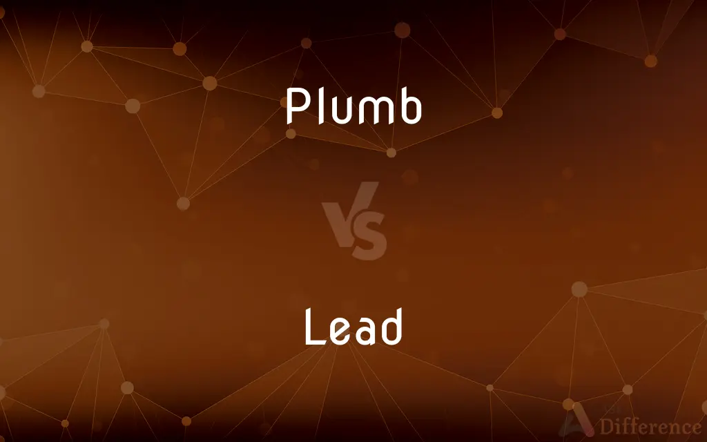 Plumb vs. Lead — What's the Difference?