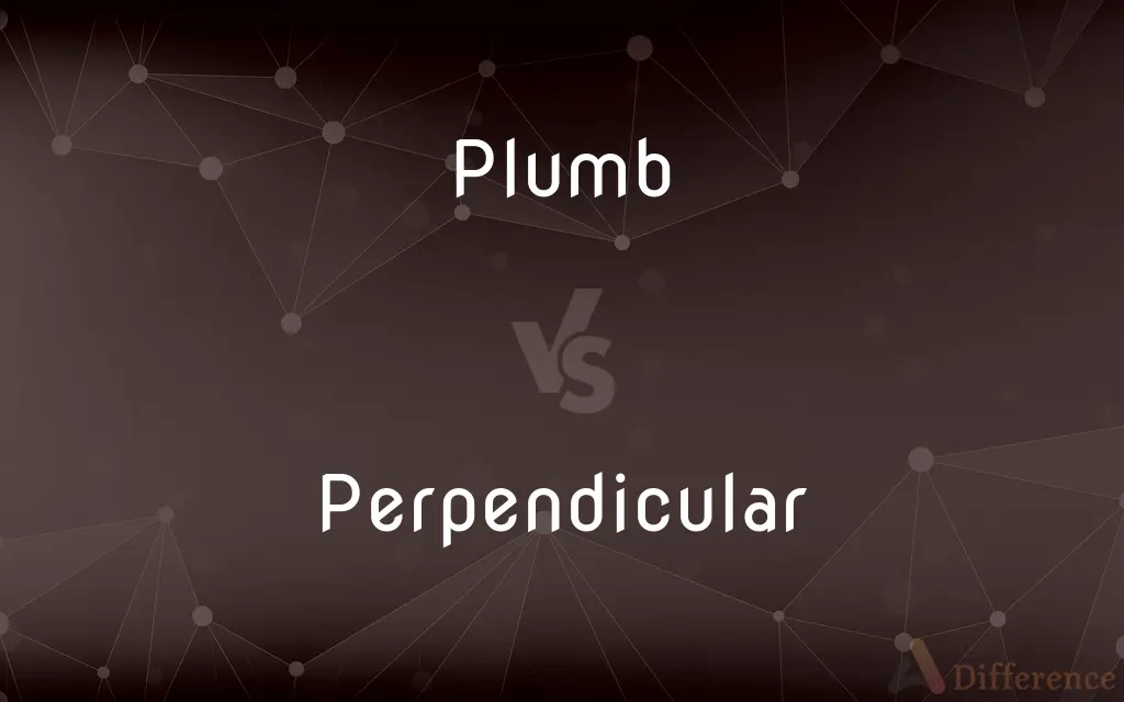 Plumb vs. Perpendicular — What's the Difference?