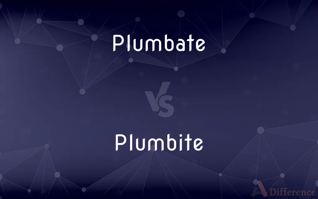 Plumbate vs. Plumbite — What's the Difference?