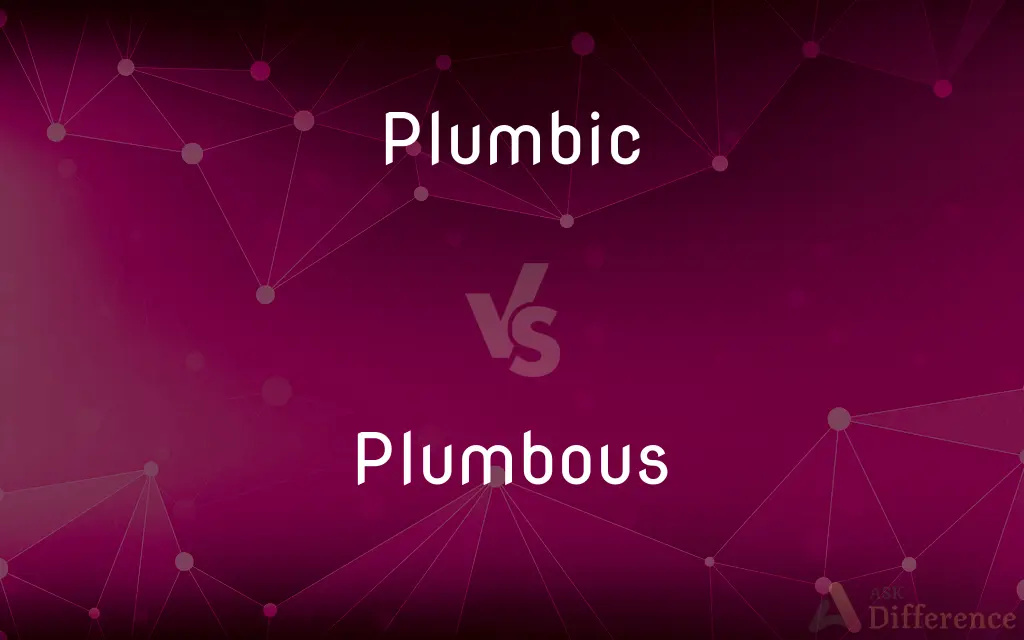 Plumbic vs. Plumbous — What's the Difference?