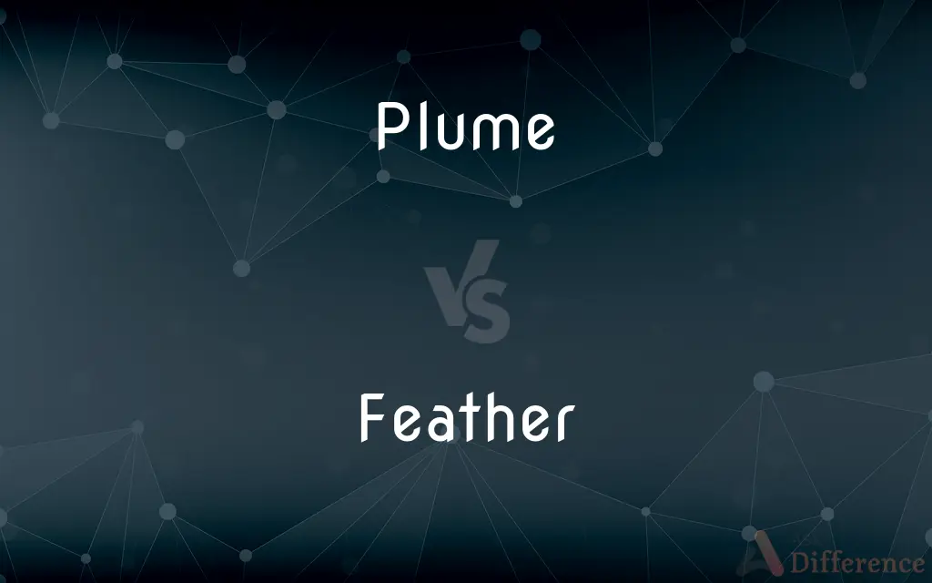 Plume vs. Feather — What's the Difference?