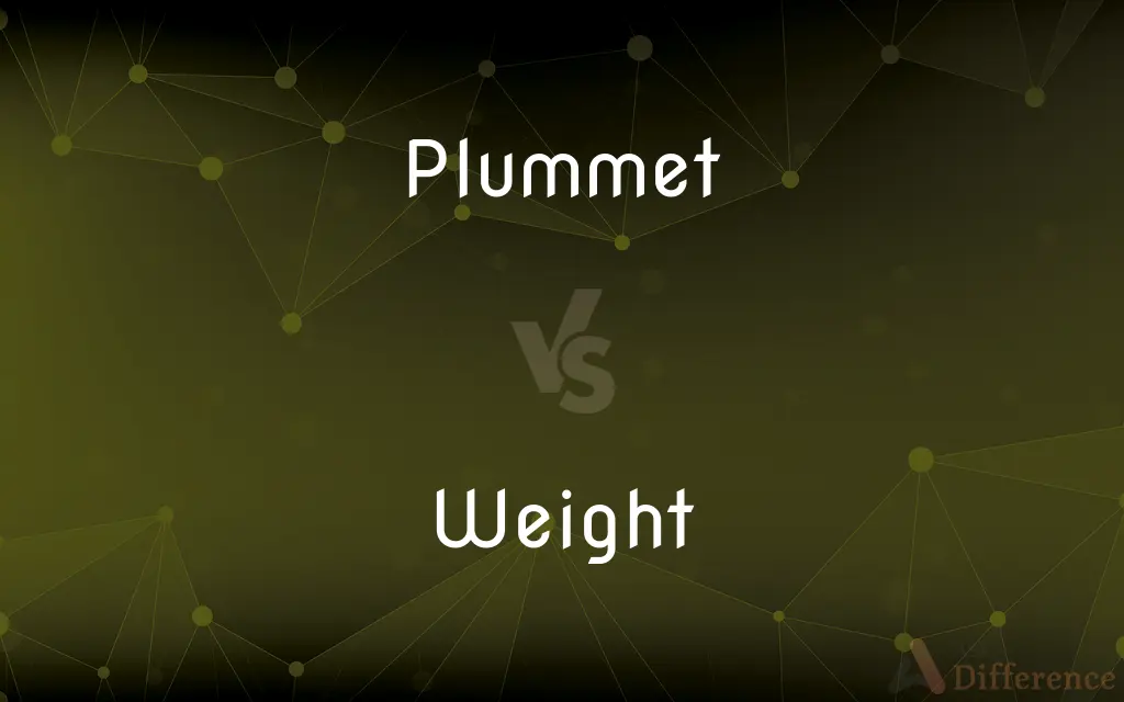Plummet vs. Weight — What's the Difference?