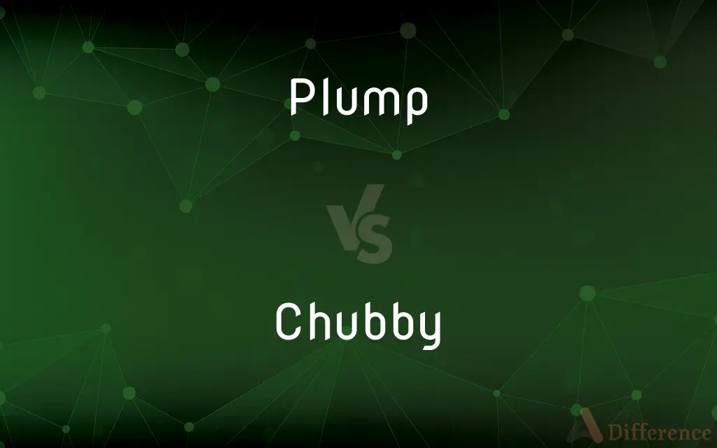 Plump vs. Chubby — What's the Difference?