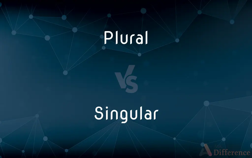 Plural vs. Singular — What's the Difference?