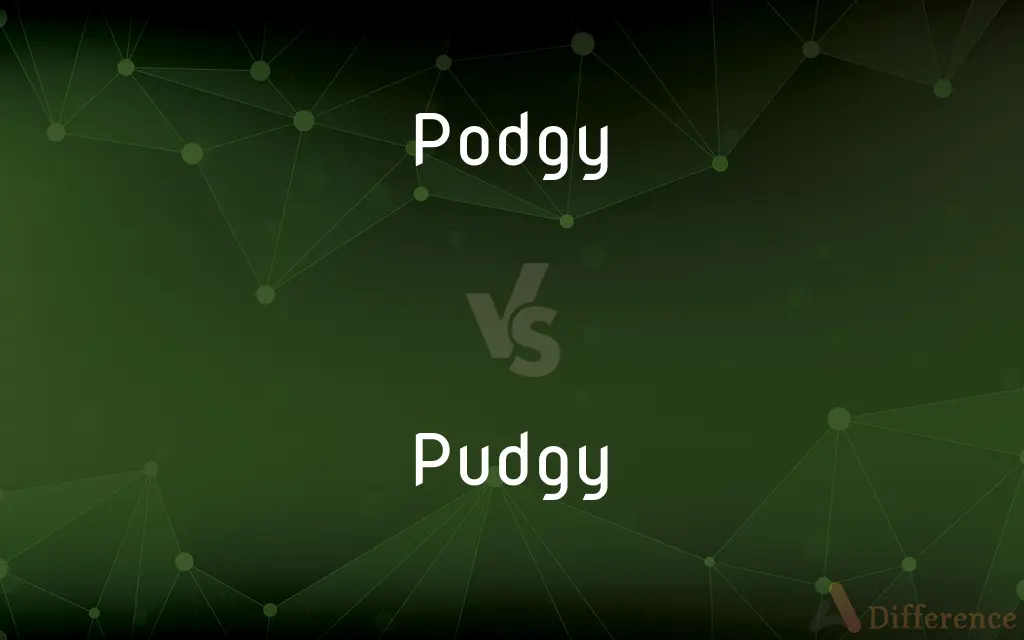 Podgy vs. Pudgy — What's the Difference?