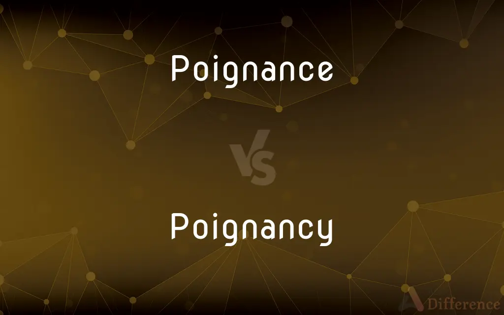 Poignance vs. Poignancy — What's the Difference?