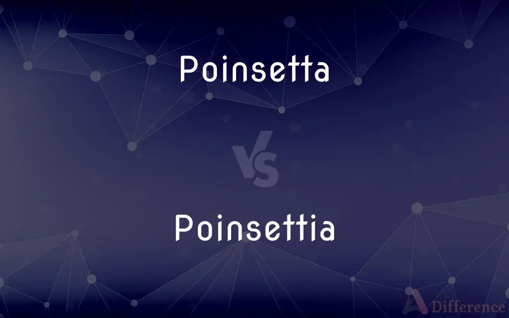 Poinsetta vs. Poinsettia — Which is Correct Spelling?
