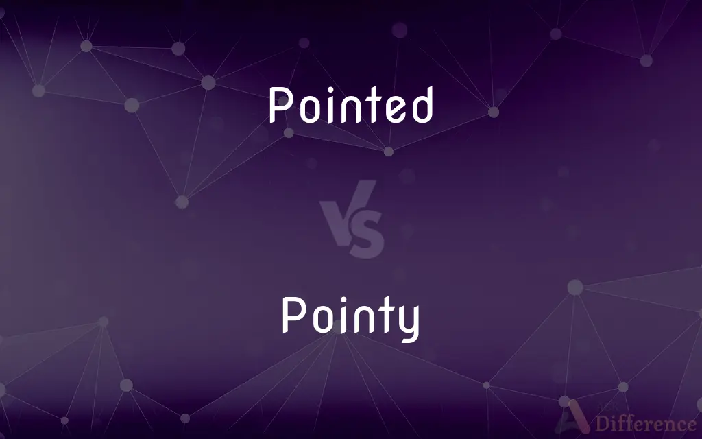 Pointed vs. Pointy — What's the Difference?