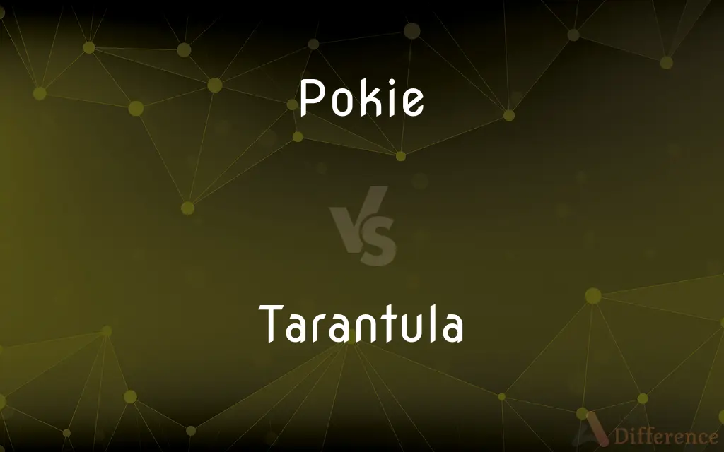 Pokie vs. Tarantula — What's the Difference?